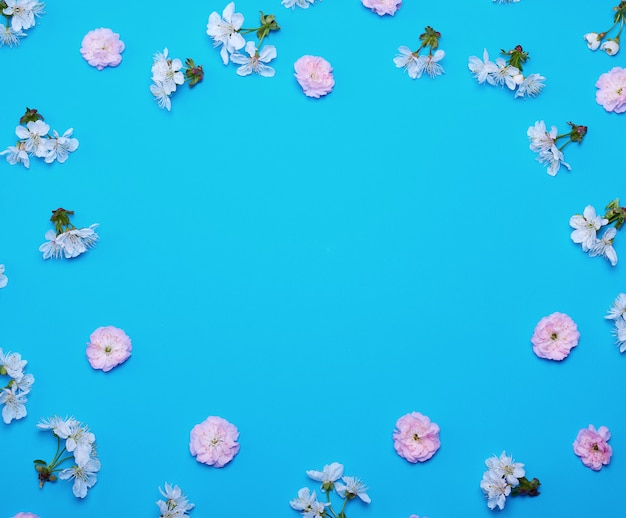 Fundo azul com flores desabrochando branco e rosa