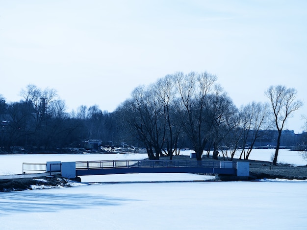 Fundo azulado da paisagem do parque de inverno