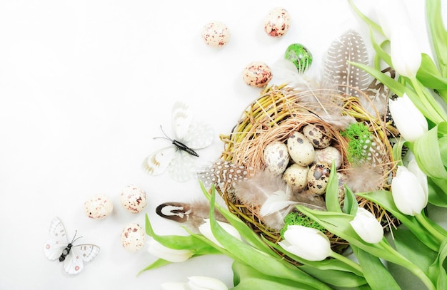 Fundo branco de férias de Páscoa de primavera com tulipas ovos de codorna borboletas e penas em um ninho Banner com espaço de cópia Vista superior