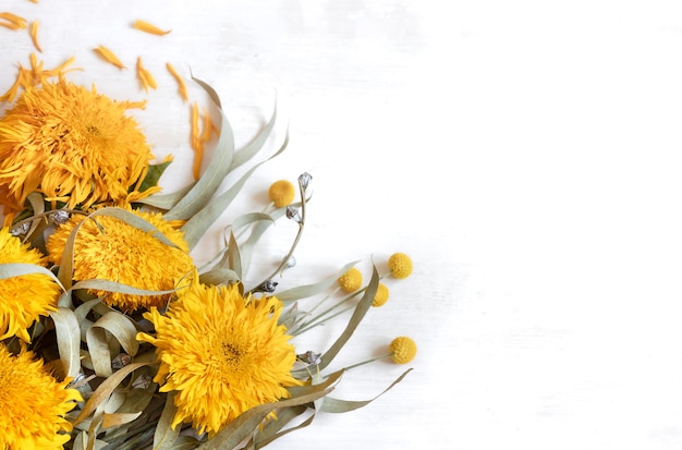 Fundo branco festivo com girassóis e flores craspedia, copie o espaço.