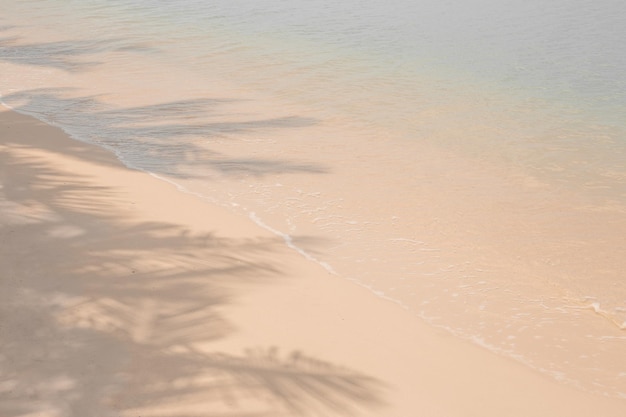 Fundo calmo do mar tropical Na costa da praia nas sombras de areia branca das palmeiras de coco Descanso e relaxamento