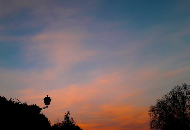 fundo com céu pôr do sol em cores com silhuetas de postes de iluminação e árvores