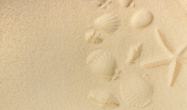 Fundo com conchas na areia Foco seletivo