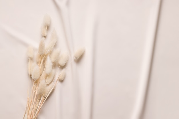 Fundo com flores secas e fofas na areia