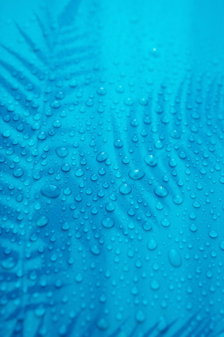 Foto fundo com gotas de água com sombra de samambaia