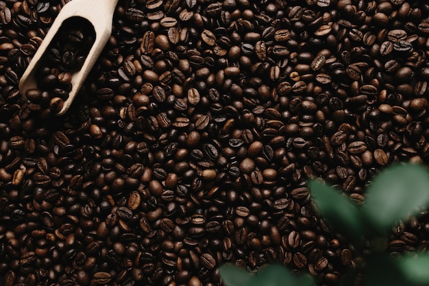 Fundo com matriz de grãos de café secos