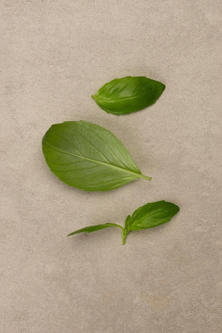 Foto fundo culinário manjericão em um prato na mesa