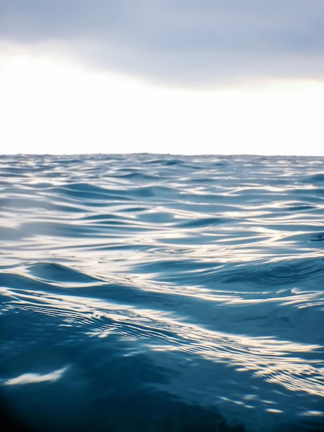 Fundo da água do oceano, onda close-up