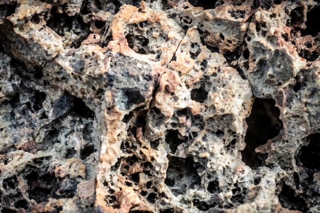 Fundo da foto real da natureza abstrata Macro close-up detalhes rocha seca rachadura pedra sólida formações espumosas ou lava vulcânica congelada pedra-pomes textura estilo lunar antigo cinza claro vintage marrom amarelo
