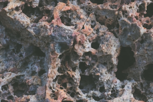 Fundo da foto real da natureza abstrata Macro close-up detalhes rocha seca rachadura pedra sólida formações espumosas ou lava vulcânica congelada pedra-pomes textura grão antigo estilo lunar cinza claro vintage pálido