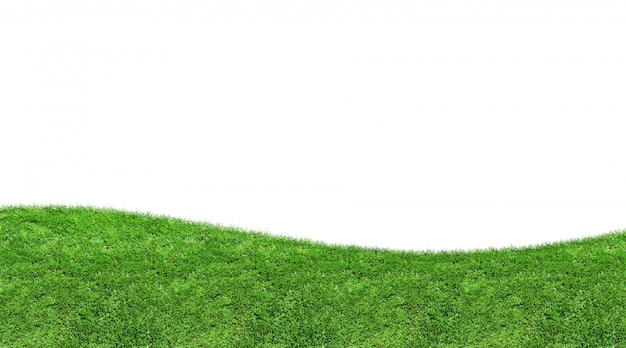 Fundo da grama verde