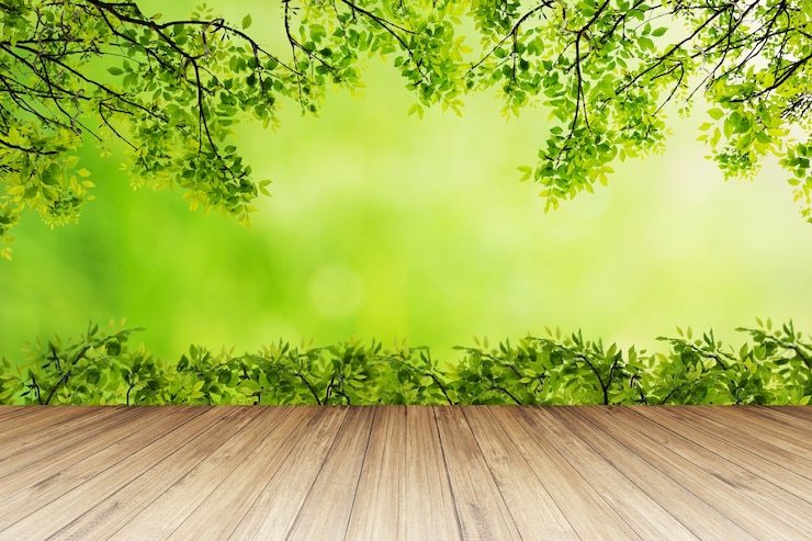 Foto fundo da natureza.