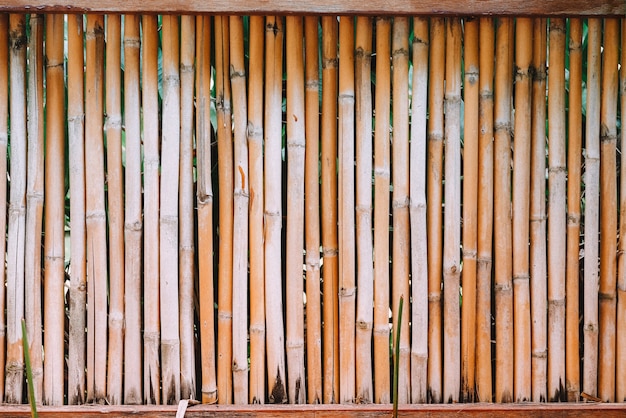 Foto fundo da parede de bambu