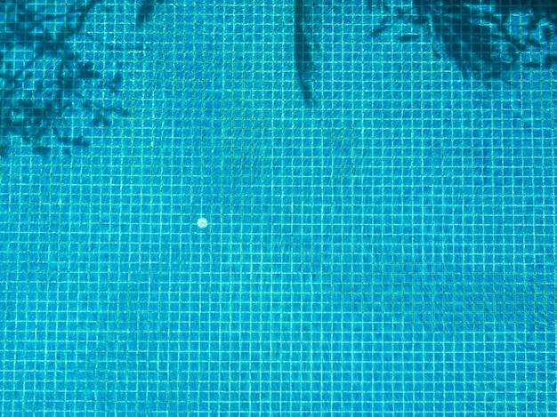 Fundo da piscina com pequenos azulejos quadrados de mosaico azul com sombra de árvore em superfície de água clara