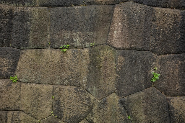 Fundo da textura da parede de pedra