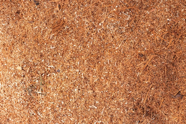 Fundo da textura da poeira da serragem ou de madeira.