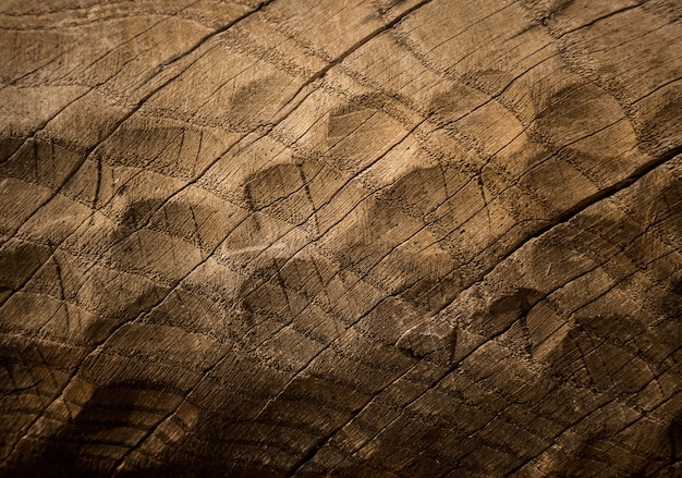 Fundo Da Textura De Madeira. Textura de árvore velha escura