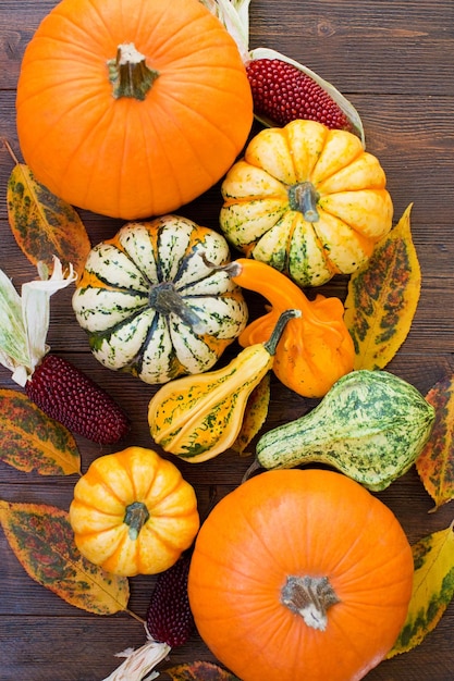 Fundo de abóboras decorativas de outono abóboras amarelas e verdes laranja com folhas de outono em um fundo de madeira preparação para o dia de ação de graças ou festa de halloween