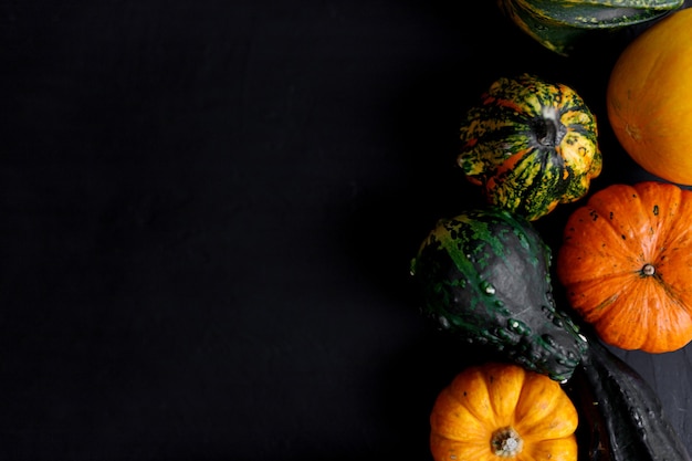 Fundo de ação de graças de abóbora de outono - abóboras laranja sobre mesa preta