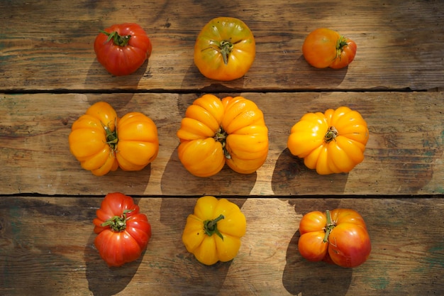 Fundo de alimentos de colheita de outono legumes de fazenda orgânica em pano de fundo de madeira tomates amarelos maduros frescos