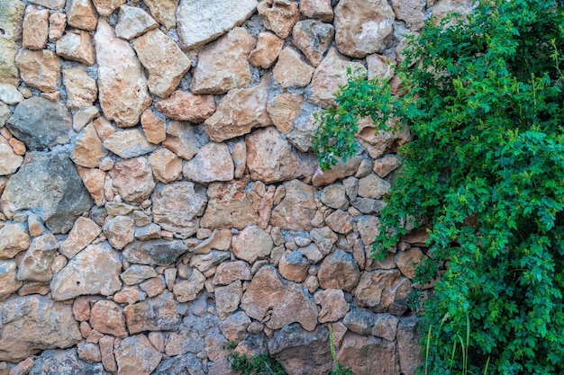 Fundo de alvenaria de calcário a superfície é decorada com material natural da qual a parede é feita