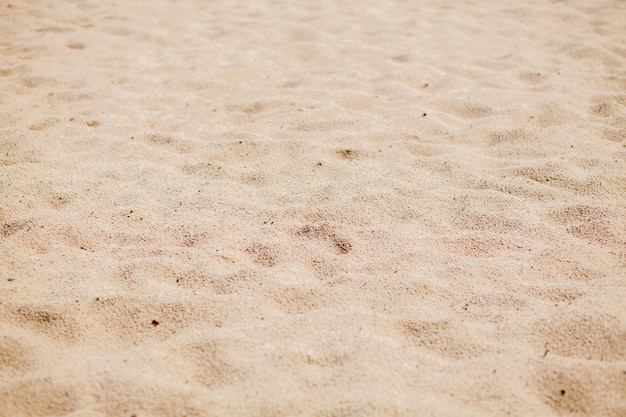 Fundo de areia fina de praia
