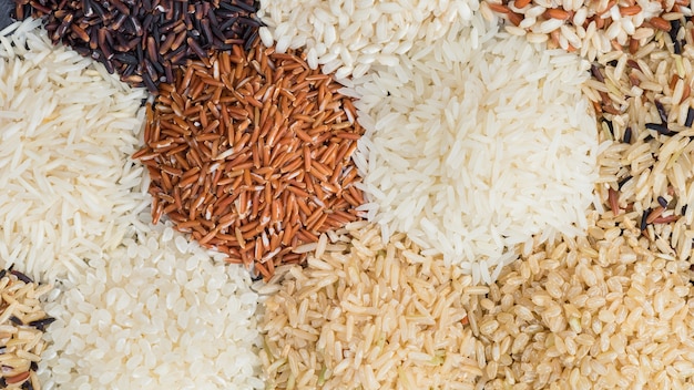 Fundo de arroz multicolor e diferente