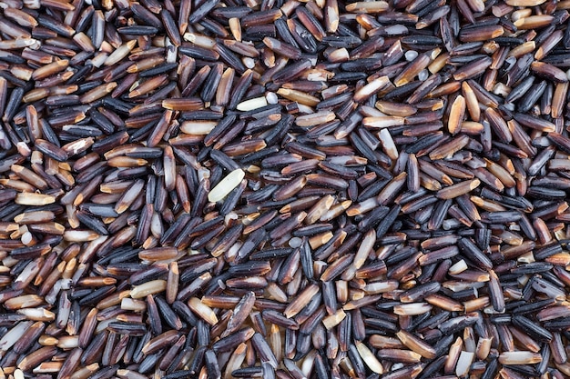 Fundo de bagas de arroz preto.