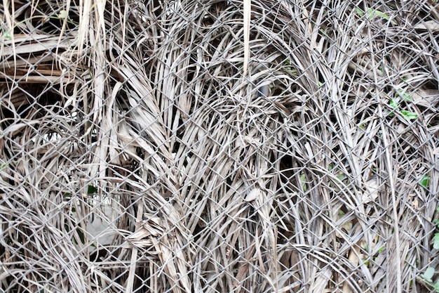 Fundo de bambu cinza e barras preto e branco