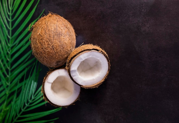 fundo de banner com espaço de cópia com folhas de palmeira e metades de coco