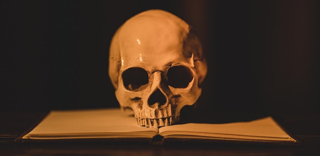 Foto fundo de banner do crânio humano a foto de arte do crânio humano modelo de anatomia com livro aberto a ideia de fotografia de horror closeup