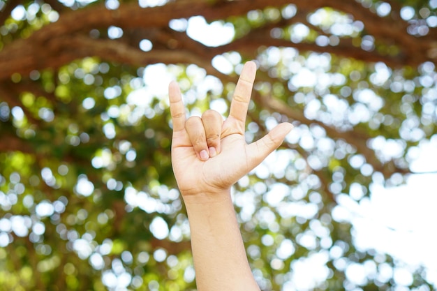 Foto fundo de bokeh verde coração mão humana