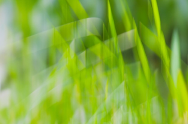 Fundo de bokeh verde Fundo de bokeh verde natural abstrato