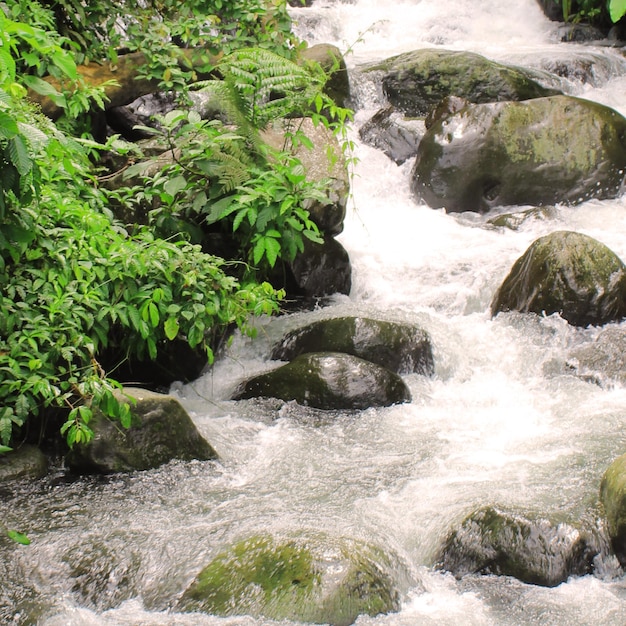 fundo de cachoeira