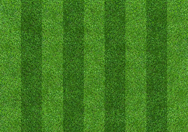 Fundo de campo de grama verde para esportes de futebol e futebol