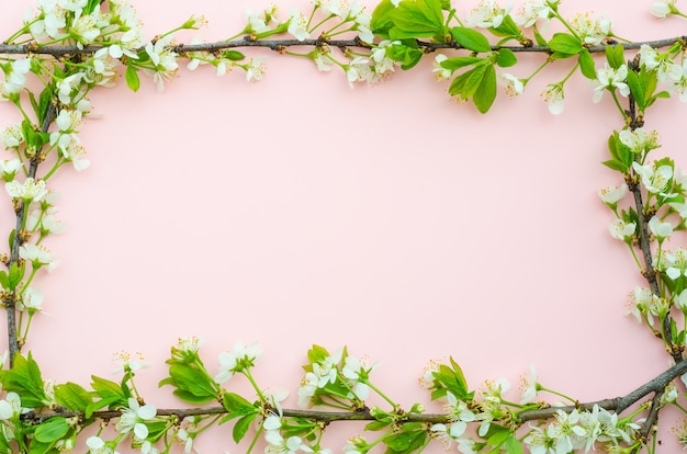 Fundo de cartão de felicitações, delicadas flores de cerejeira em forma de moldura em um fundo rosa com espaço de cópia