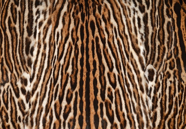 Foto fundo de casaco de pele de leopardo