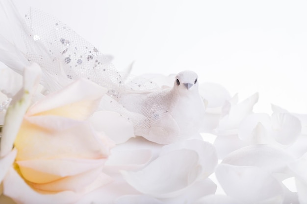 Fundo de casamento romântico pomba branca e rosa branca um símbolo de paz e amor