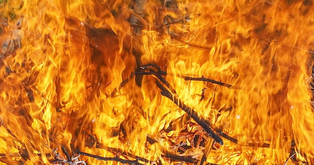 Fundo de chamas de incêndios florestais