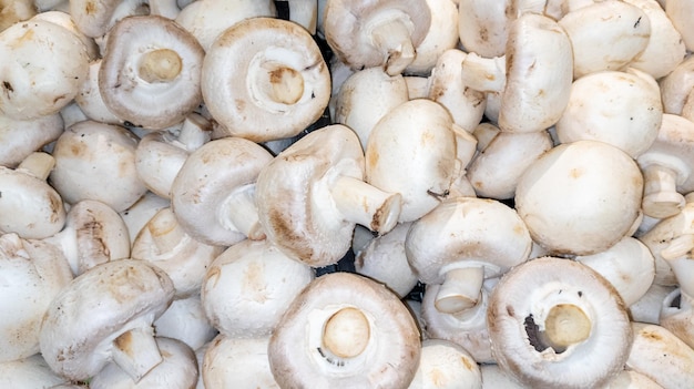 Fundo de champignon na vista superior do cogumelo no mercado para venda
