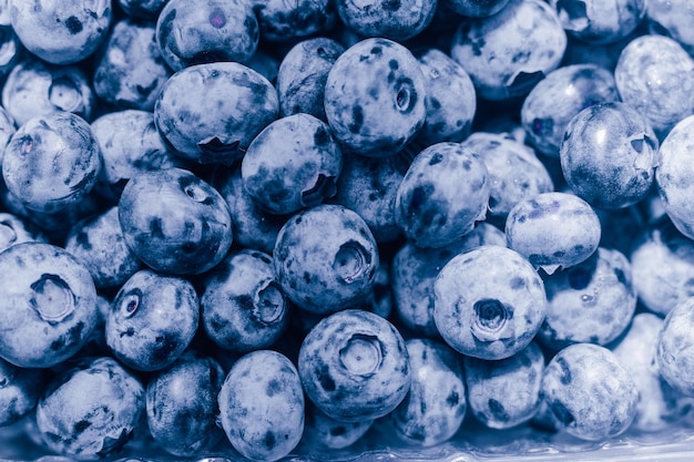 Fundo de closeup de baga azul de mirtilo de frutas frescas