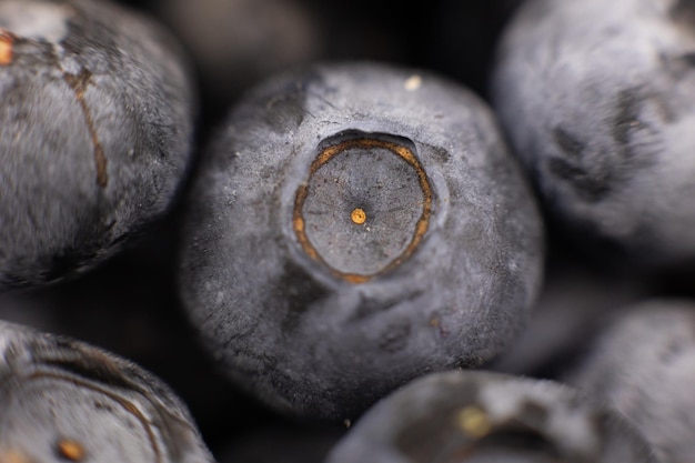 Fundo de closeup de bagas de mirtilo para cozinhar frutas no verão