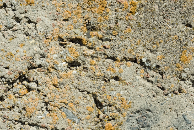Foto fundo de closeup de parede de cimento concreto texturizado cinza