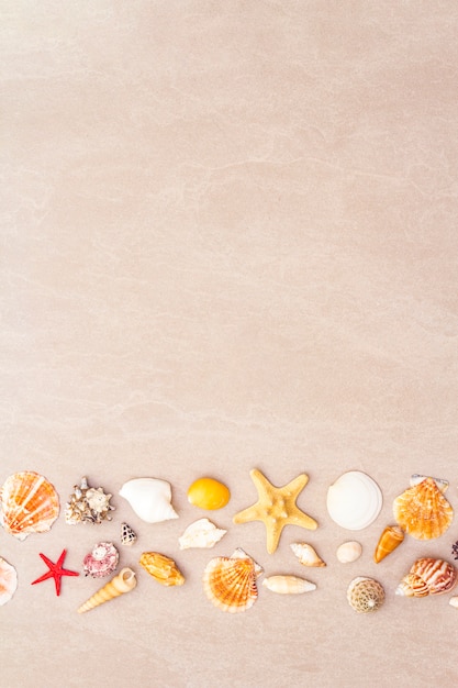 Fundo de conchas do mar, conceito de férias de verão