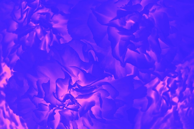 Fundo de cor azul brilhante ultramar e magenta rosa