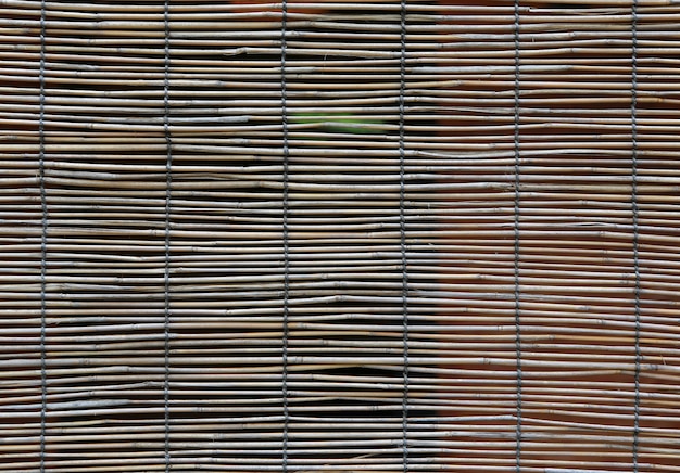 Fundo de cortina de bambu