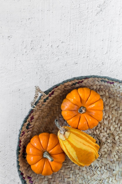 Fundo de decoração de Halloween. abóboras