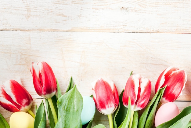 Fundo de dia dos namorados para parabéns, cartões de felicitações. flores de tulipas primavera fresca