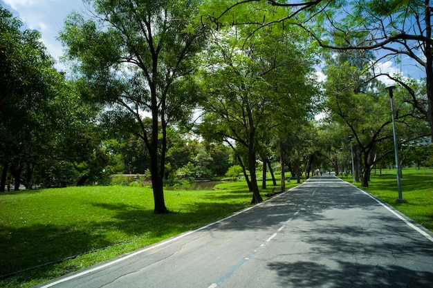 fundo de estrada bonito