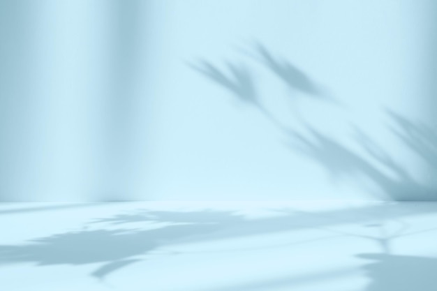 Fundo de estúdio azul abstrato para apresentação do produto sala vazia com sombras de janela e flores e folhas de palmeira sala 3d com espaço de cópia concerto de verão pano de fundo turva